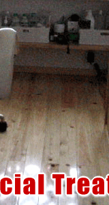 HOME�ɖ߂�܂�